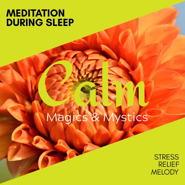 Meditation During Sleep - Stress Relief Melody