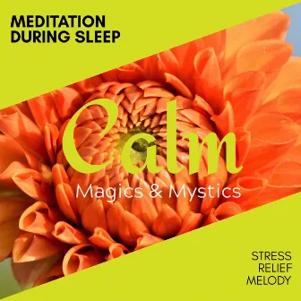 Meditation During Sleep - Stress Relief Melody by Relaxing Minds