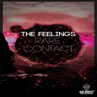 Rare Contact by The Feelings