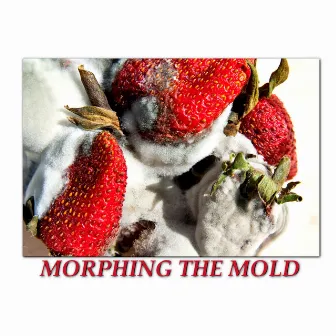 MORPHING THE MOLD by The HooliganZ