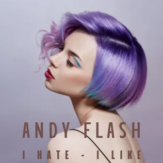 I hate I like by Andy Flash