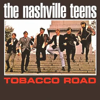 Tobacco Road by The Nashville Teens