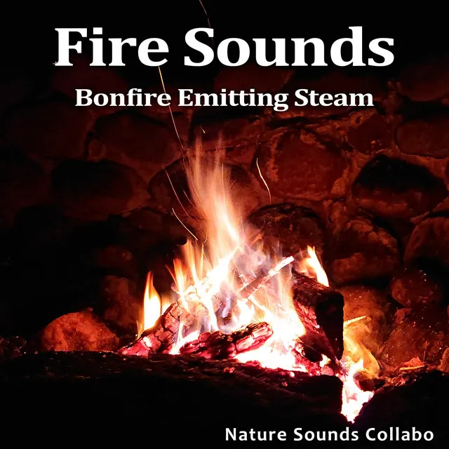 Fire Sounds -Bonfire Emitting Steam-