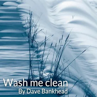 Wash Me Clean by Dave Bankhead