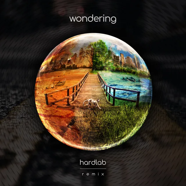 Wondering - Remix