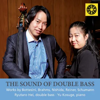 The Sound of Double Bass by Ryutaro Hei