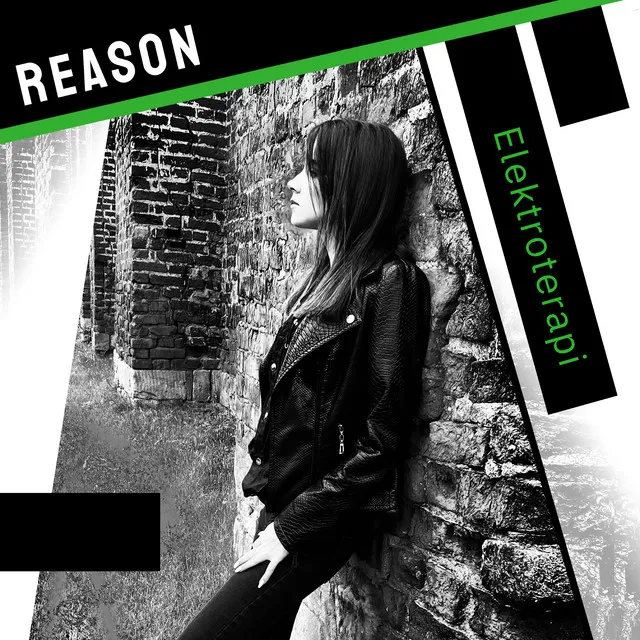 Reason - Schwarzstern Remix