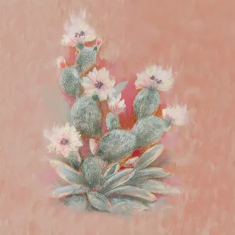 Cactus by BEAM