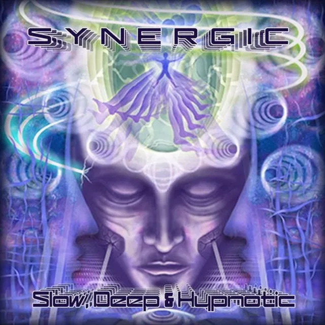 Psytraveller - Synergic Remix