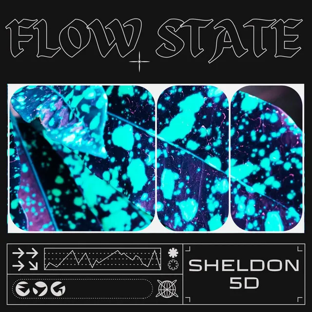 Flow State