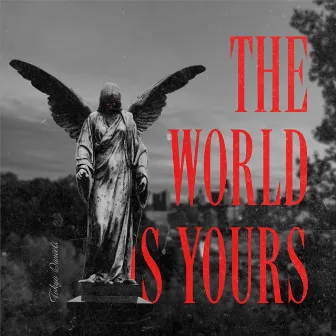 THE WORLD IS YOURS! by TOKYO DANIELS!