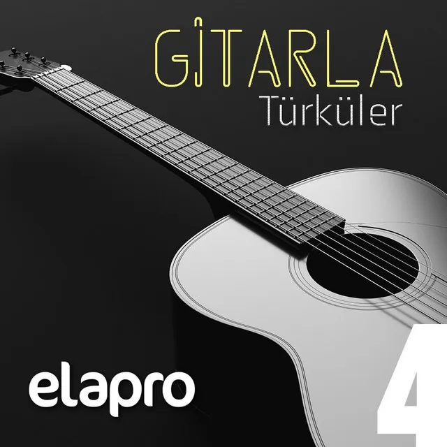 Gitarla Türküler #4