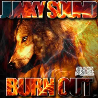 Burn Out by Junky Sound