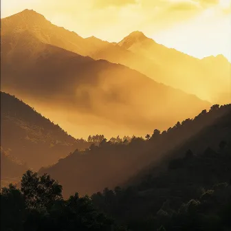 Selva Binaural: Ritmos Del Dosel Revelados by Zona de Sonidos de la Naturaleza