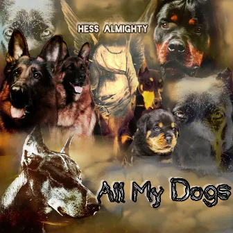 All My Dogs by Unknown Artist