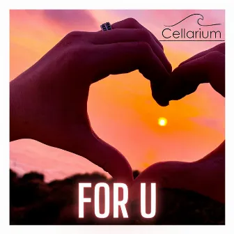 For U by Cellarium