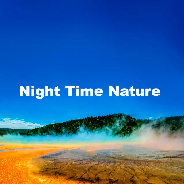 Night Time Nature