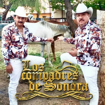 Maldito el Tiempo by Los Compadres de Sonora