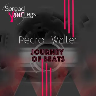 Journey of Beats by Pedro Walter