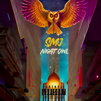 Night Owl by Smj