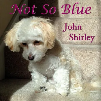 Not so Blue by John Shirley