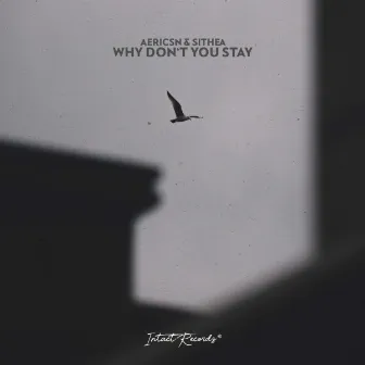 Why Don´t You Stay by aericsn