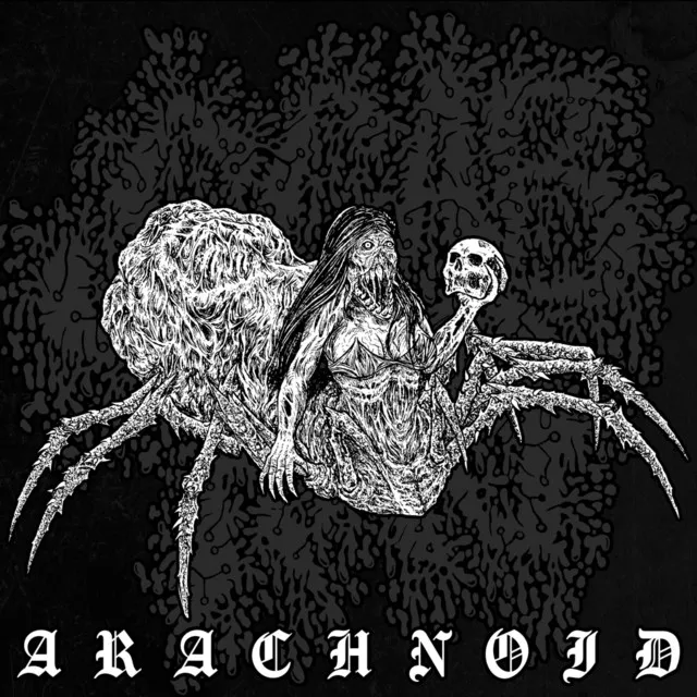 Arachnoid