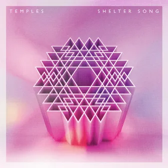 Shelter Song by Temples