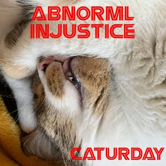 Caturday by abnorml injustice