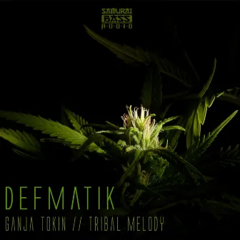 Ganja Tokin / Tribal Melody by Defmatik