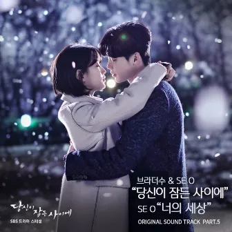 While You Were Sleeping, Pt. 5 (Original Television Soundtrack) by SE O