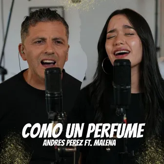 Como un Perfume by Andres Perez