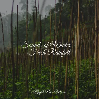 Sounds of Winter - Fresh Rainfall by Guided Spa Zen