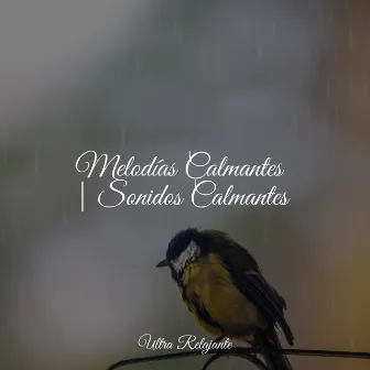 Melodías Calmantes | Sonidos Calmantes by Sonidos de la Naturaleza para Dormir