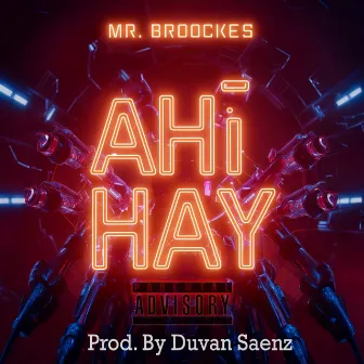 Ahí Hay by Mr. Broockes