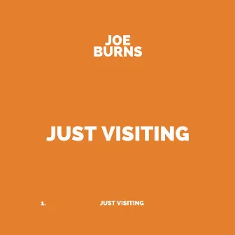 Just Visiting by Joe Burns