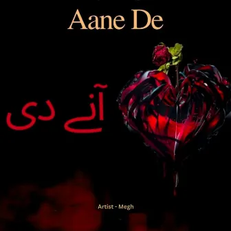 Aane De by Megh