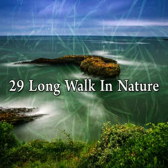 29 Long Walk In Nature by Relaxing With Sounds of Nature and Spa Music Natural White Noise Sound Therapy