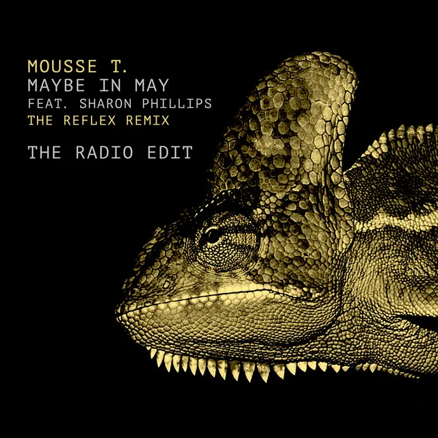 Maybe in May - The Reflex Radio Edit