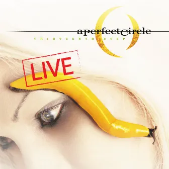 Thirteenth Step - Live by A Perfect Circle