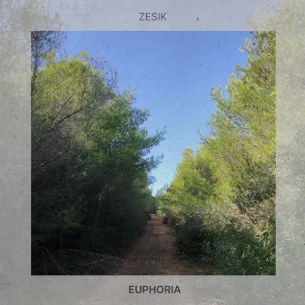 Euphoria by Zesik