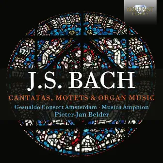 J.S. Bach: Cantatas, Motets & Organ Music by Musica Amphion