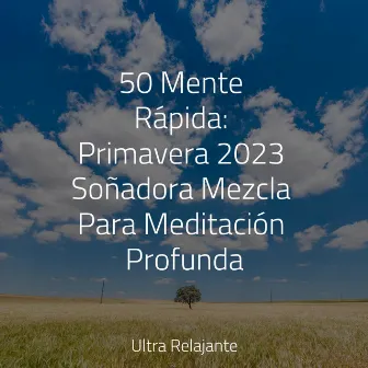 50 Mente Rápida: Primavera 2023 Soñadora Mezcla Para Meditación Profunda by Musica Relajante & Yoga