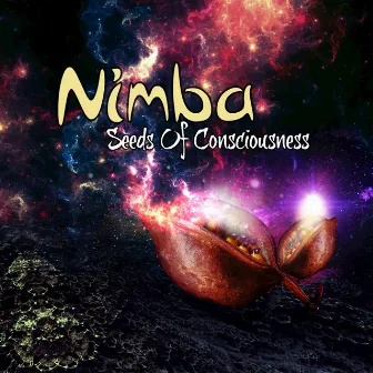 Seeds of Consciousness by Nimba