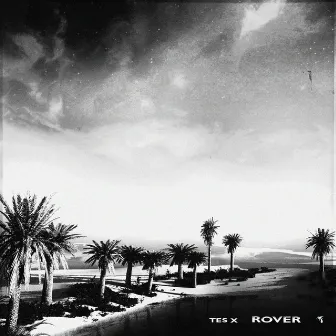 Rover by Tes X