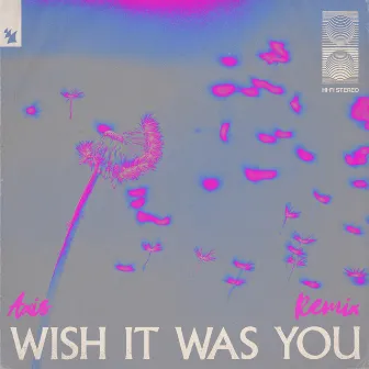 Wish It Was You (Axis Remix) by Axis