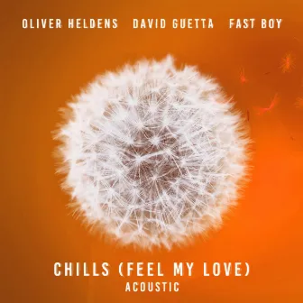 Chills (Feel My Love) (feat. David Guetta) [Acoustic] by FAST BOY