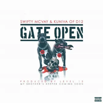 Gate Open by Swifty McVay