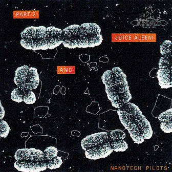 Nanotech Pilots by Part 2