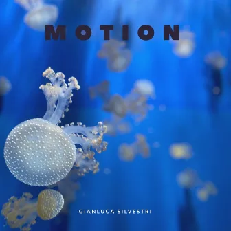 Motion by Gianluca Silvestri